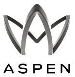 Aspen Insurance Holdings Ltd. Logo Image